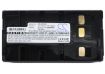 Panasonic VW-VBS2 Battery Replacement for NV-3CCD1 NV-61 - 5
